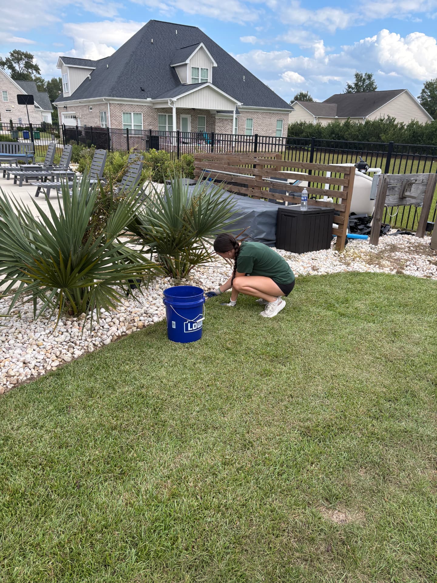 Landscape and garden-bed maintenance